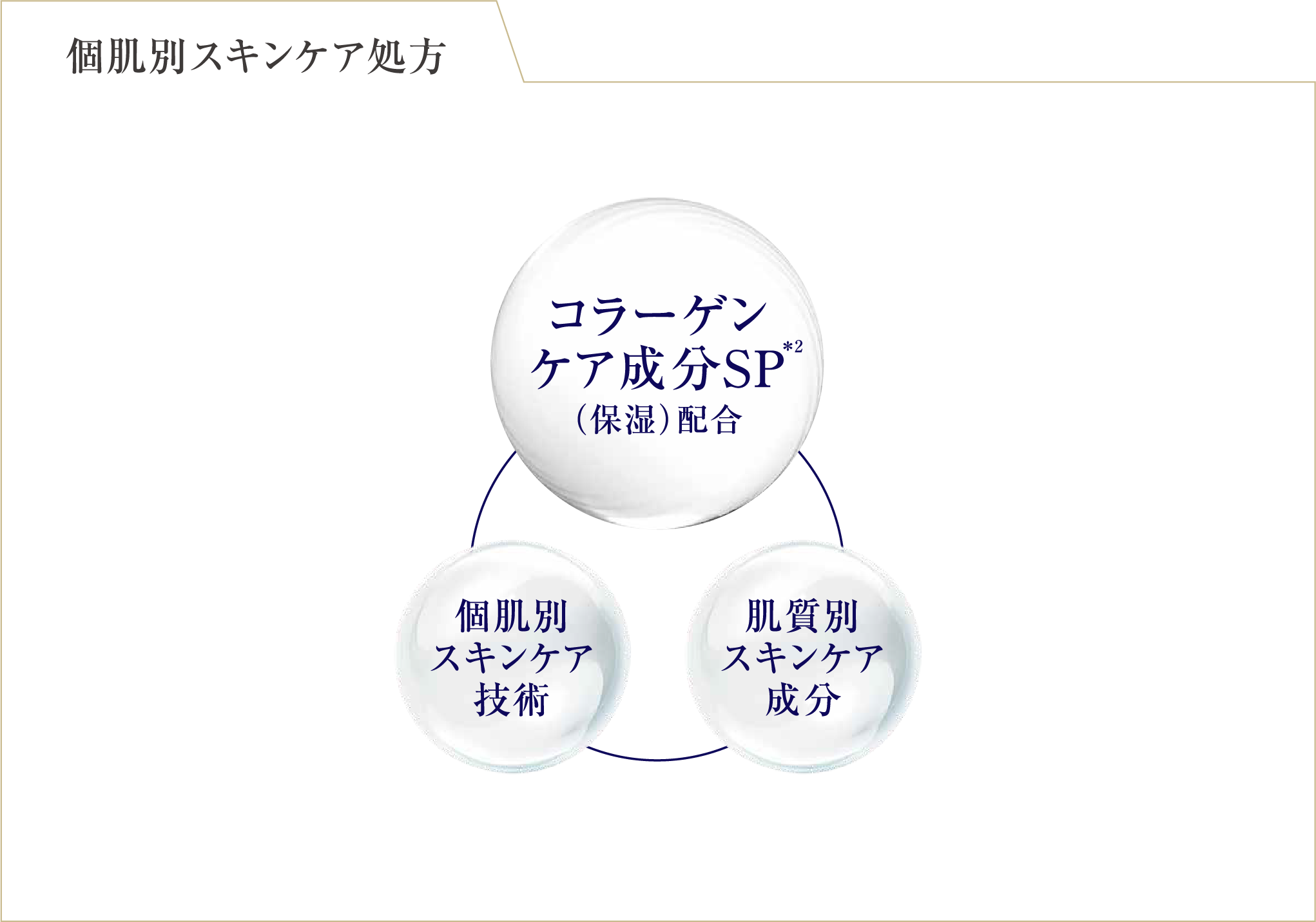 コラーゲンケア成分SP 注釈2 保湿 配合 個肌別スキンケア技術 肌質別スキンケア成分