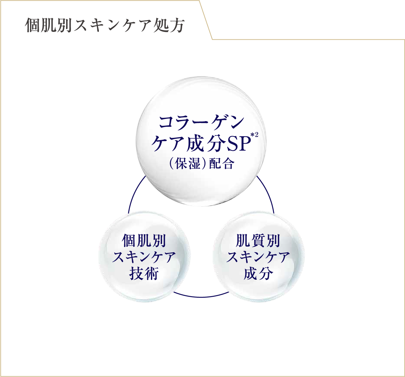 コラーゲンケア成分SP 注釈2 保湿 配合 個肌別スキンケア技術 肌質別スキンケア成分