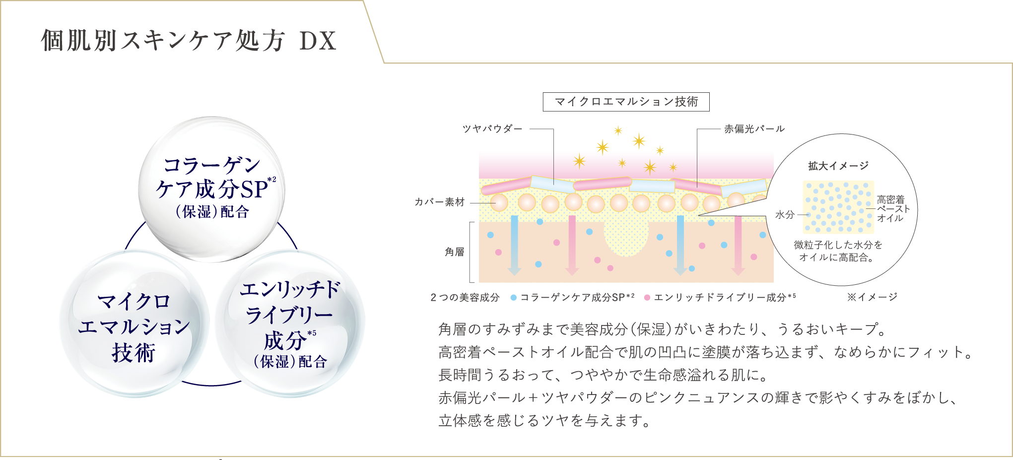 個肌別スキンケア処方 DX コラーゲンケア成分SP 注釈2 保湿 配合 マイクロエマルション技術 エンリッチドライブリー成分 注釈5 保湿 配合 角層のすみずみまで美容成分 保湿 がいきわたり うるおいキープ 高密着ペーストオイル配合で肌の凹凸に塗膜が落ち込まず なめらかにフィット 長時間うるおって つややかで生命感溢れる肌に 赤偏光パールとツヤパウダーのピンクニュアンスの輝きで影やくすみをぼかし 立体感を感じるツヤを与えます