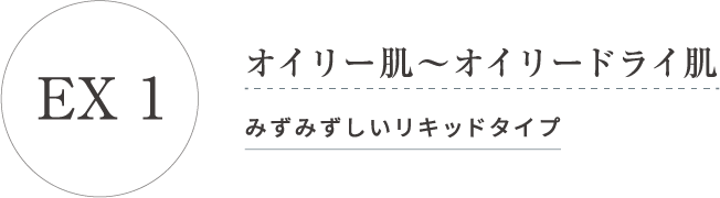 EX 1 オイリー肌 オイリードライ肌 みずみずしいリキッドタイプ