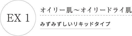 EX 1 オイリー肌 オイリードライ肌 みずみずしいリキッドタイプ