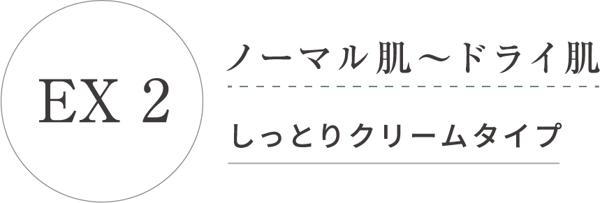 EX 2 ノーマル肌 ドライ肌 しっとりクリームタイプ
